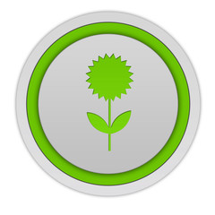 Flower circular icon on white background