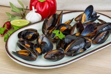 Mussels