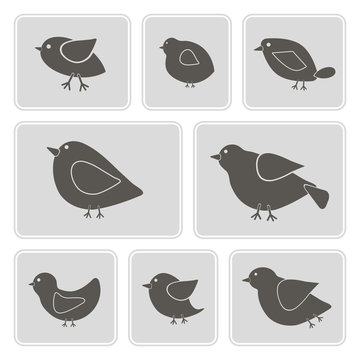 set of monochrome icons with different birds for your design