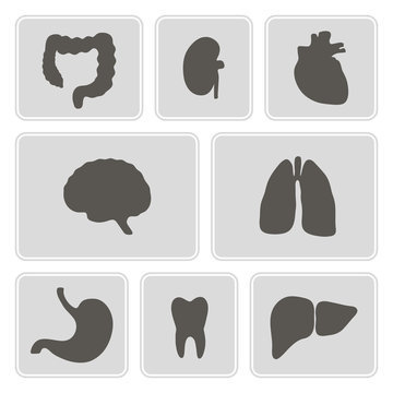 set of monochrome icons with organs of the human body
