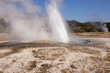 Yellowstone Nationalpark, Utah, USA