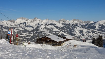 Fototapeta na wymiar View from the Wispile ski area in Gstaad