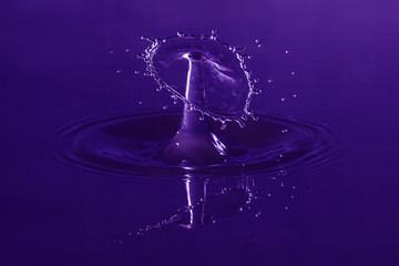 Deep Purple Waterdroplet