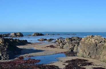Fototapeta na wymiar Site bord de mer avec rochers