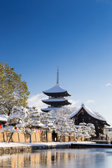 Fototapeta premium 東寺の五重塔