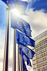 European Union flags - obrazy, fototapety, plakaty