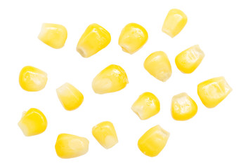 corn on a white background. close-up