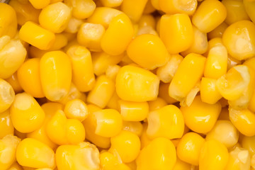 Raw canned corn texture wallpaper