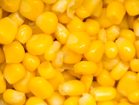 Raw canned corn texture wallpaper
