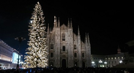 Fototapeta na wymiar Duomo di Milano di notte con albero di Natale