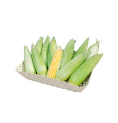 Fresh corn in the basket