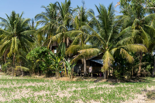 Cambodian farm