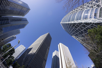 快晴青空 新宿高層ビル群を見上げる