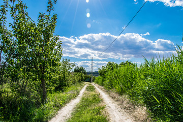 Camino de huerta