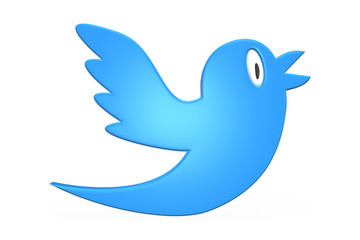 3D Twitter Bird