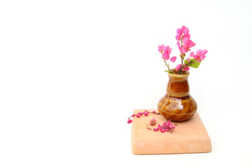 coral vine in ceramic small vase