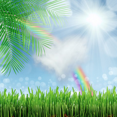 Obraz premium natural green background with selective focus