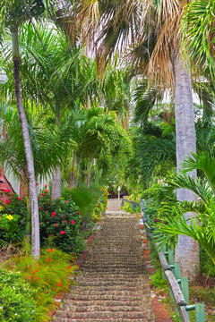 The 99 Steps In Charlotte Amalie, St Thomas, US VI.