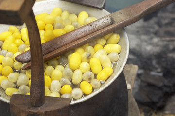 Boiling cocoon in a pot to prepare a cocoon silk.