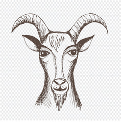 Hand drawn Goat