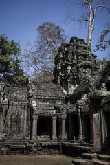 Fototapeta premium Cambodia, Angkor Wat