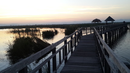 Obraz premium Wooden bridge to pavilion