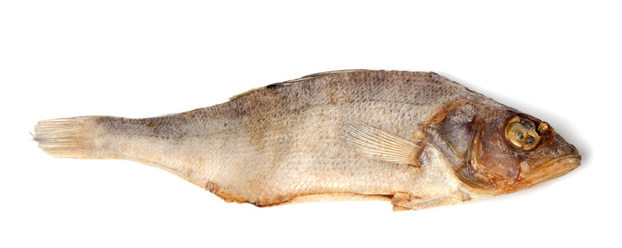 Sundried roach isolated on white background