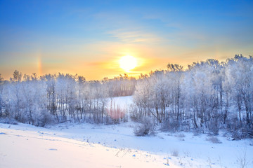 winter rural landscape with a sunset in the forest