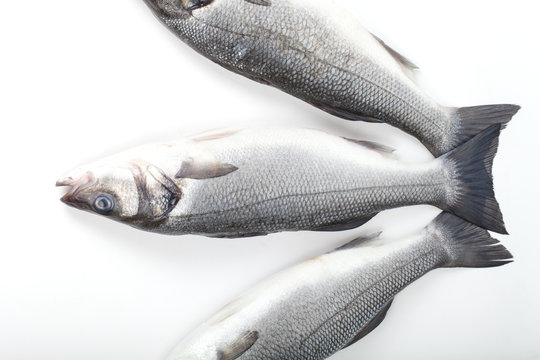 Three Seabass Fishes On A White Background