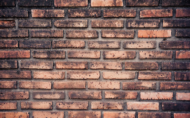 Background of brick wall texture