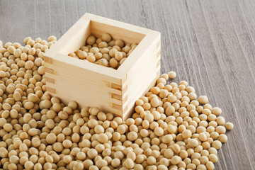 大豆　Soybeans