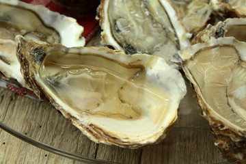 bourriche d'huîtres