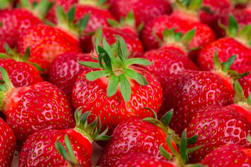 Fresh red strawberries