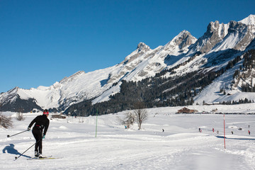 Fototapeta na wymiar Ski de fond aux Confins