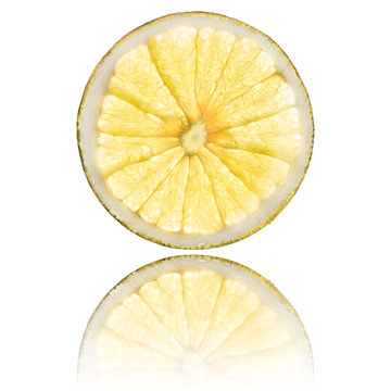 grapefruit slice isolated on white background back lighted