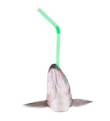 Sea Bass head with straw.