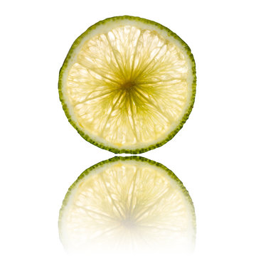 lime slice isolated on white background back lighted