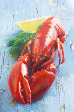 Lobster