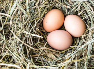 Chicken eggs on a straw bazaar counter