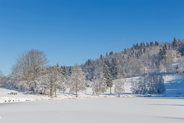 paysage hivernal des Vosges