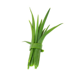 Green leek