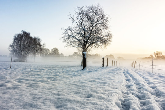 morgendliche Winterlandschaft