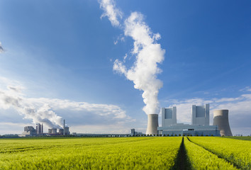 Power Stations And Rye Field