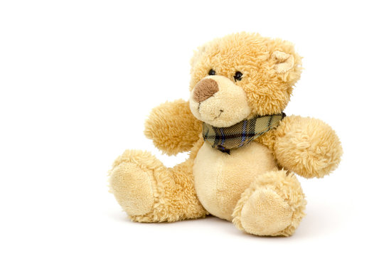 teddy bear on white background