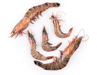 raw shrimps