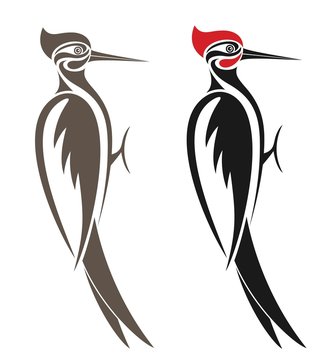Pileated Woodpecker  The Batavian