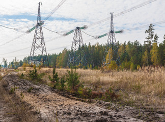 Metal support power lines against