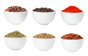 Spices in bowls set