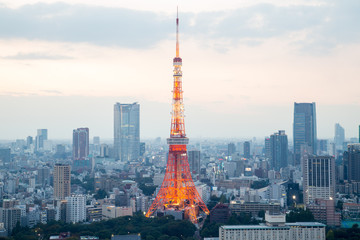 TOKYO - October 11: Tokyo Tower on October 11, 2013 in Tokyo. It - obrazy, fototapety, plakaty