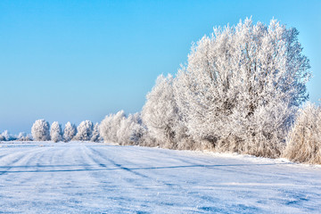 Winter landscape snow-covered fields